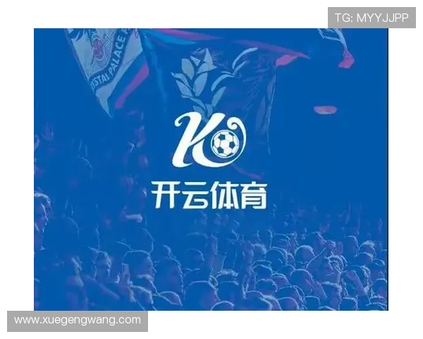 云开体育官网登录成功后可以做什么,丰富的功能与服务介绍 云开体育官网登录成功后可以做什么,丰富的功能与服务介绍