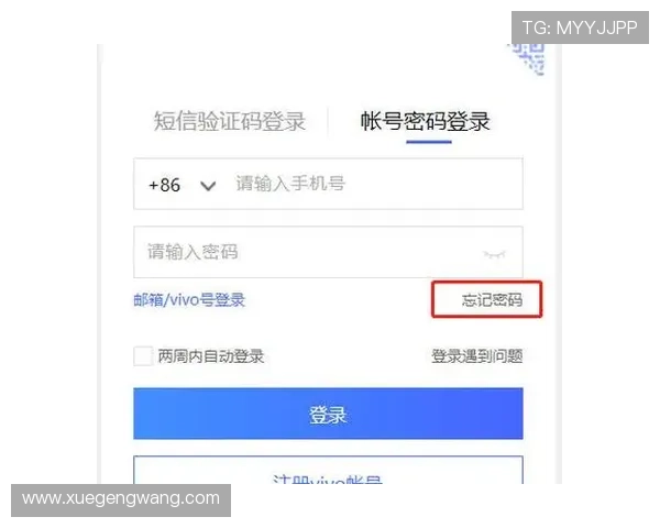 开云首页登录账号密码忘记恢复方法及安全设置建议