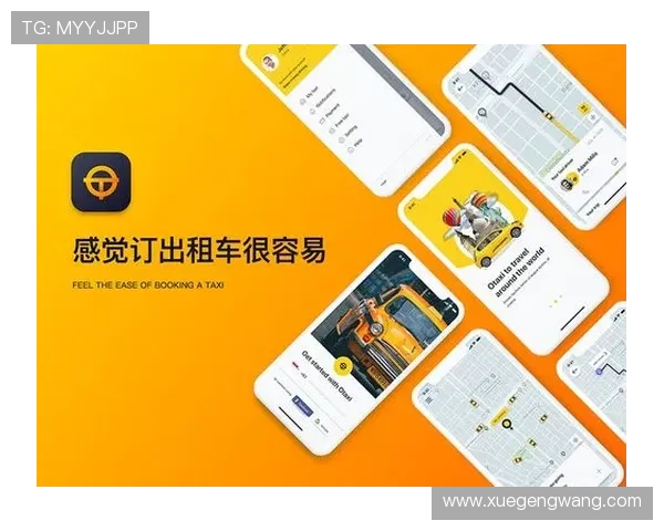 开云体育旗舰网站的网页界面设计与用户体验优化策略