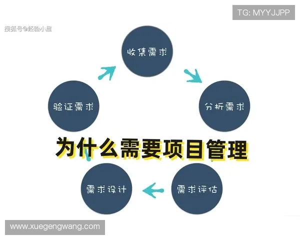 开云体育网址大全介绍多种体育项目的官方平台链接,满足不同用户的观看需求