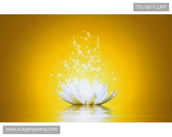 探索开运官方旗舰店的神奇魔力,让你的生活充满正能量与好运气