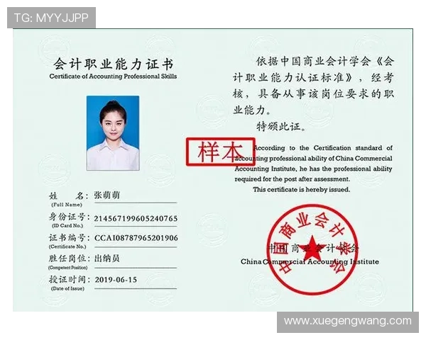 深度解析Kaiyun开云VIP用户数据库功能，助力数据管理更上一层