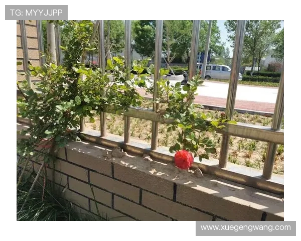 新用户在开云注册立享88元优惠券，购物欢乐无极限