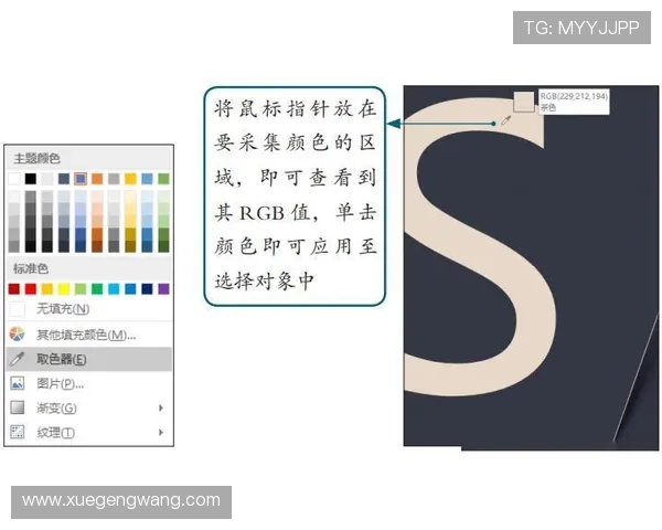 云开的网址如何快速找到官方入口，解决用户登录难题的实用技巧