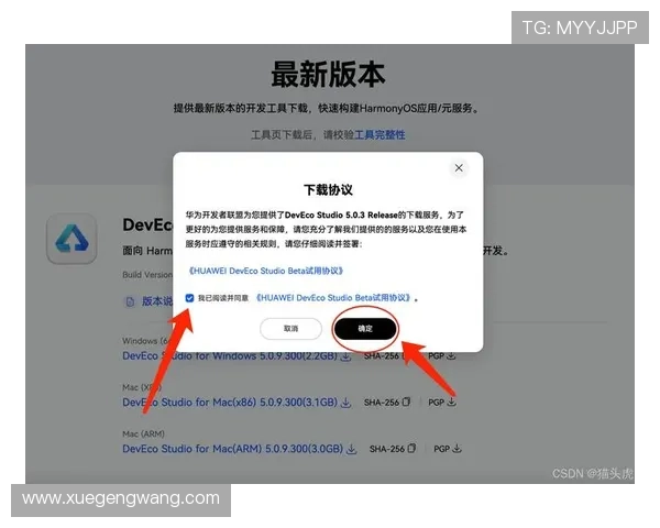 开云手机版下载安装过程中遇到的常见错误及解决技巧全方位帮你排忧解难